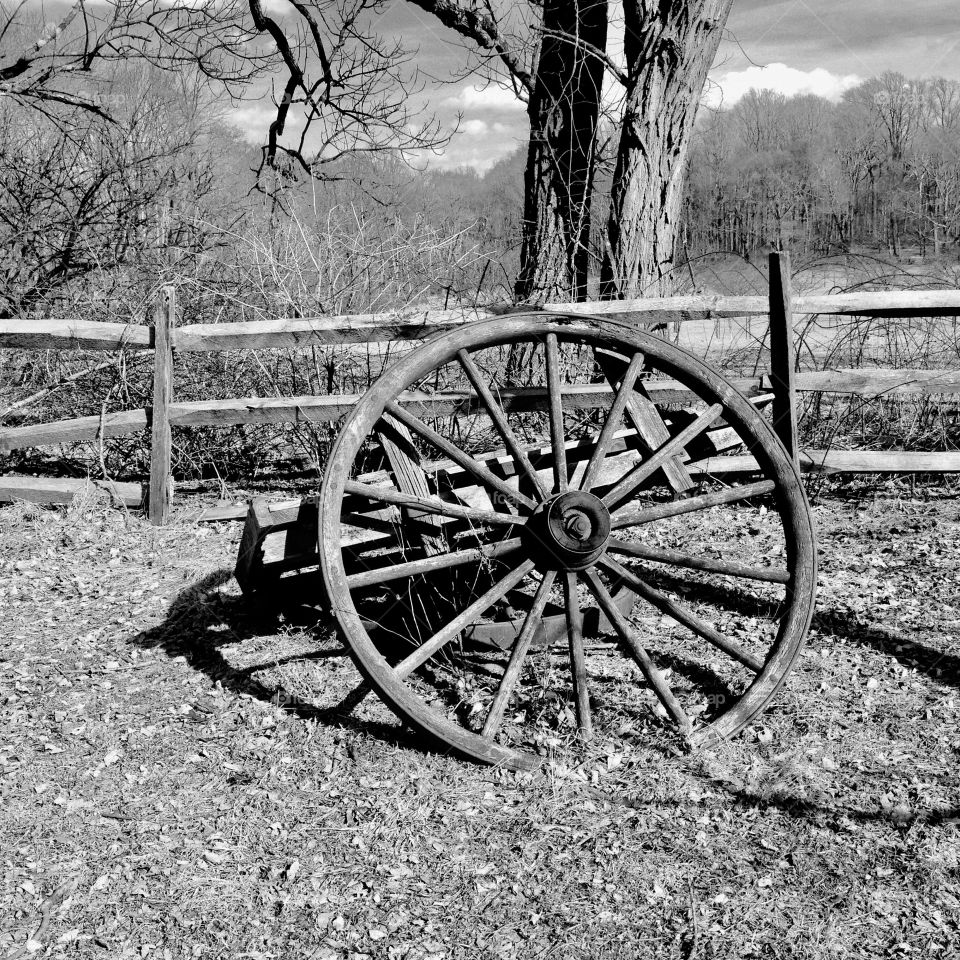 Wagon wheel 