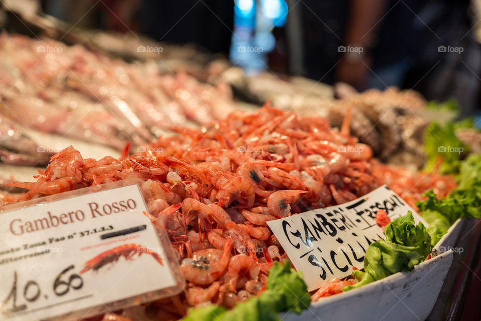 Shrimp in Venice fish market