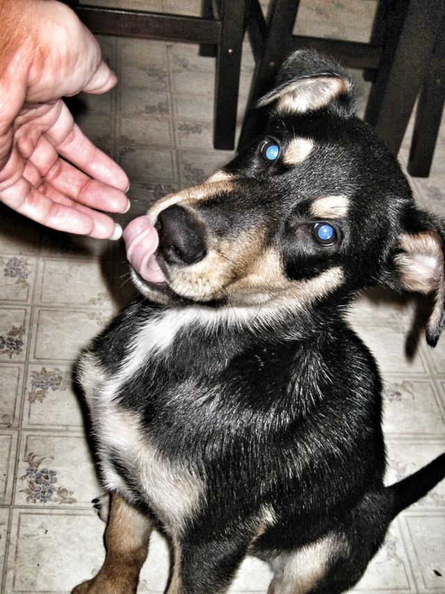 Slurp