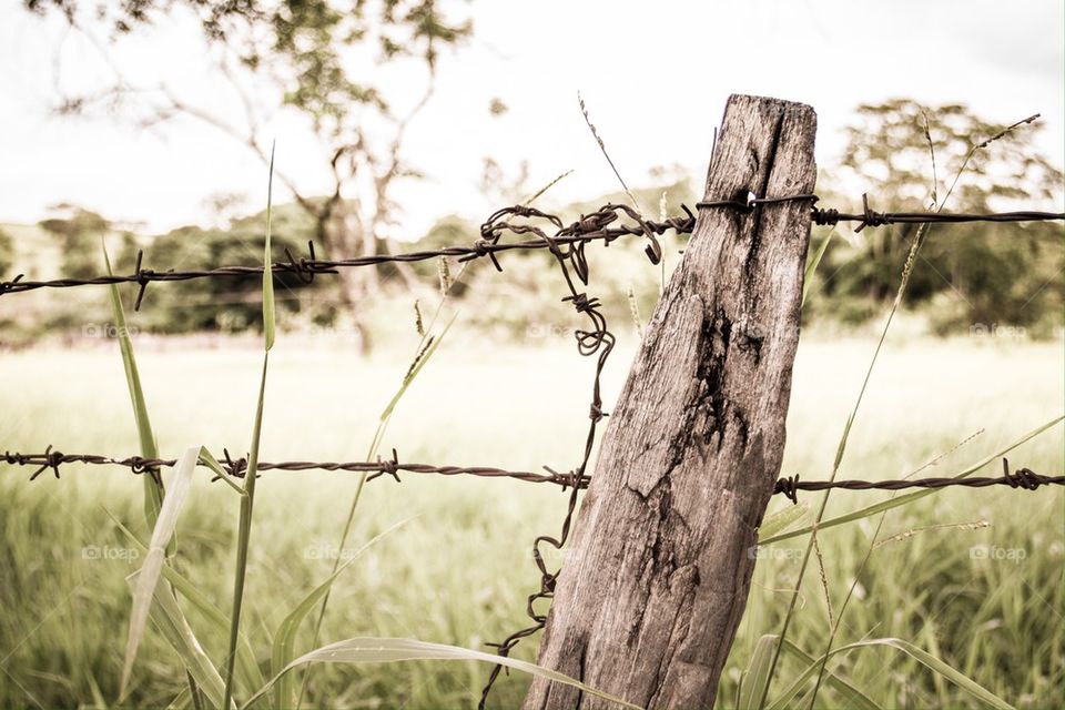 Old fence