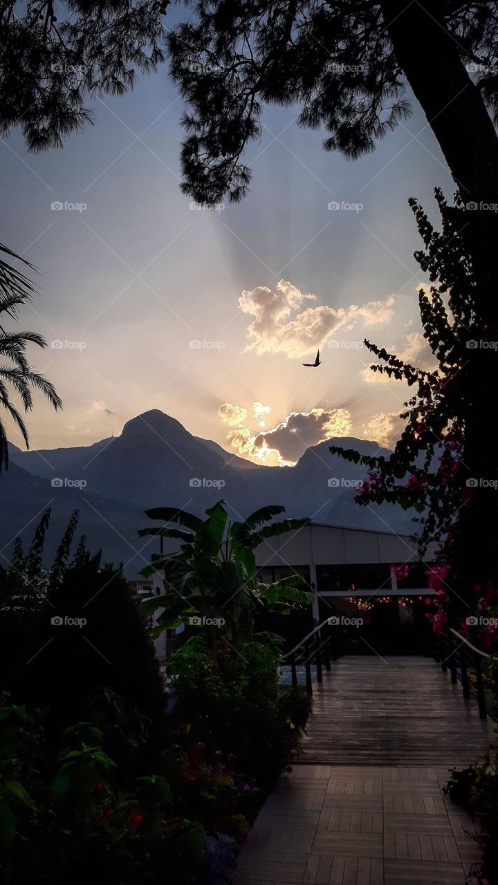 Amazing sunset over mountains and tropical garden.