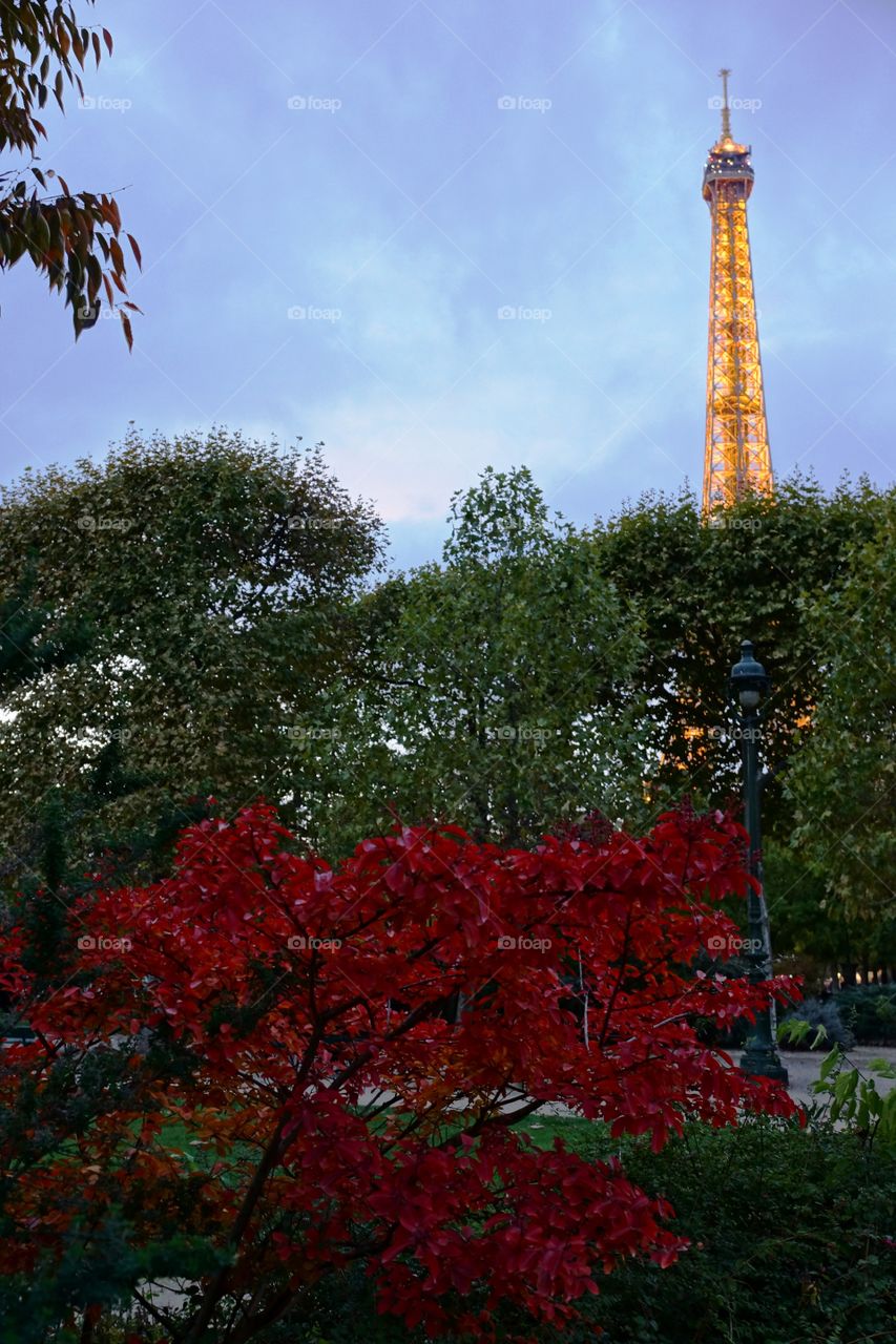 Tour Eiffel qui s'allume