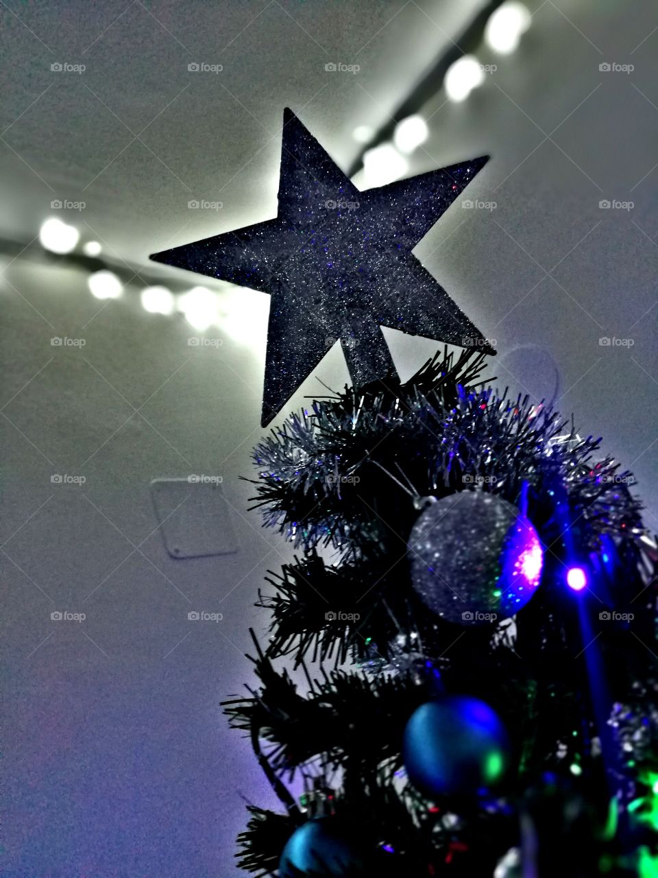 Christmas, Winter, Celebration, Shining, Merry