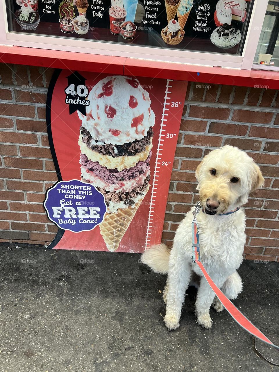 Free ice cream