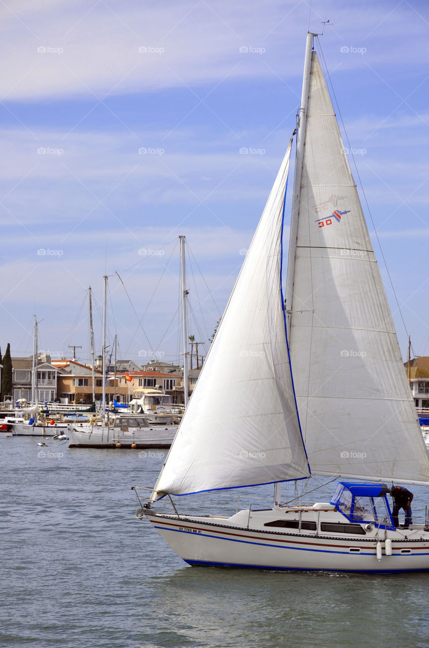 Sailing in Newport Harbor. Newport Beach California. 