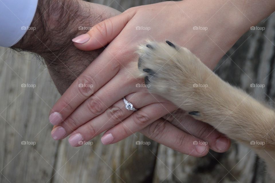 Engagement paws 