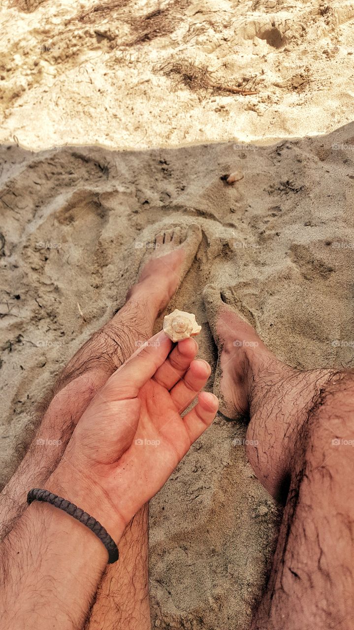 Feet & Shell