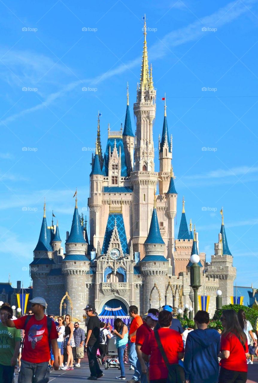 Disney castle