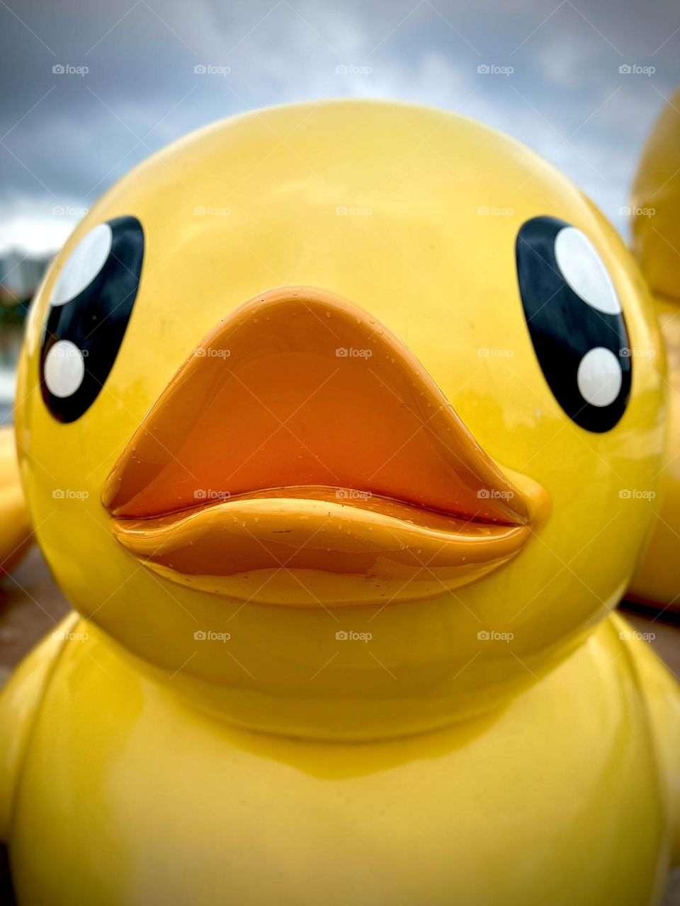 Yellow duck