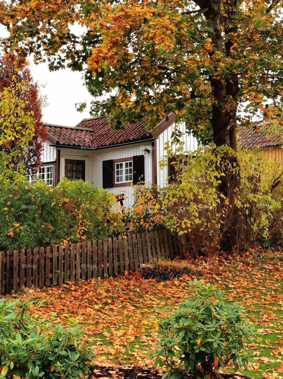 Autumn in the garden