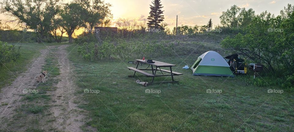 Camping in the Valley