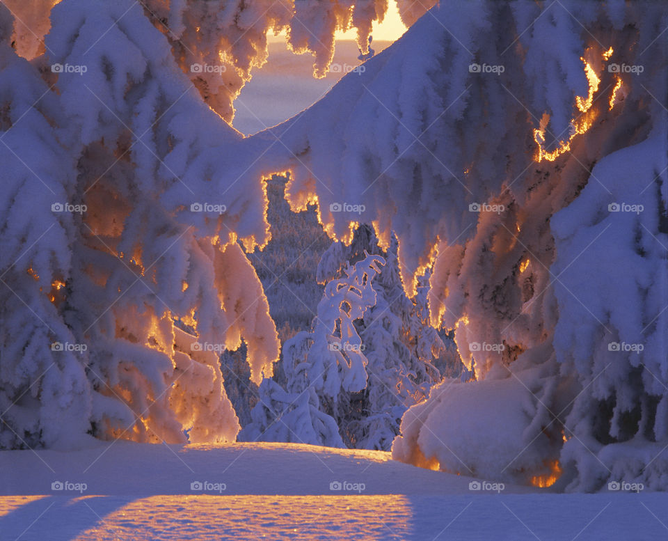 Winter in Yakutia.