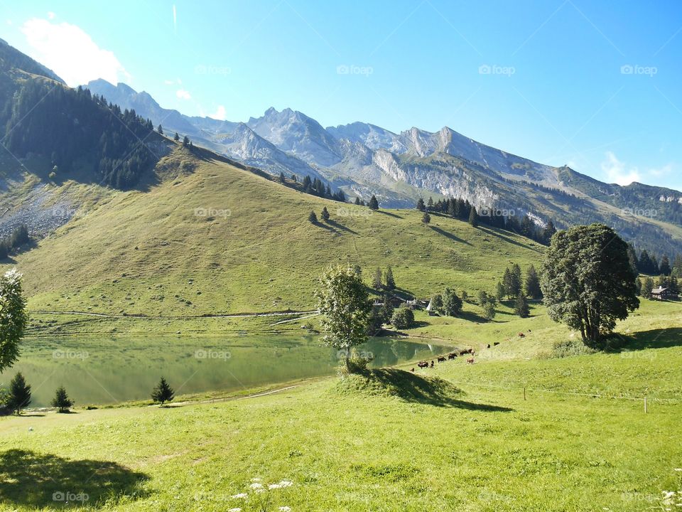 un lac dans un paysage montagneux