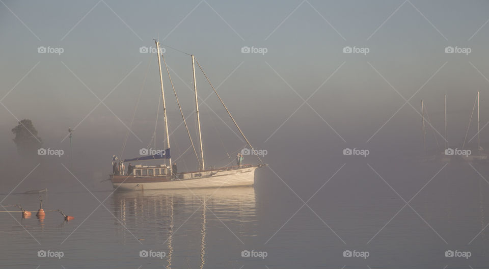 sail through the fog