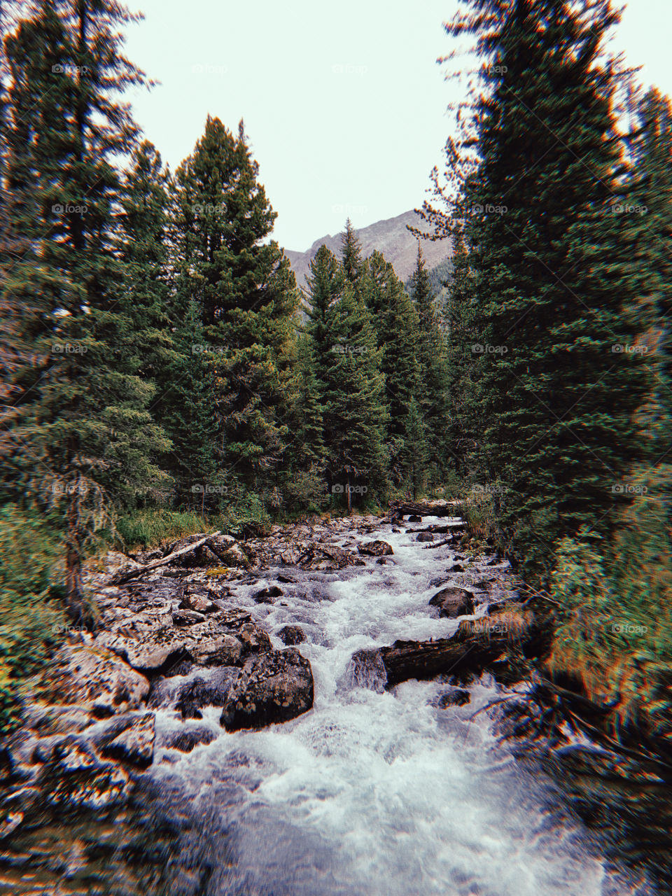 Mountain river 