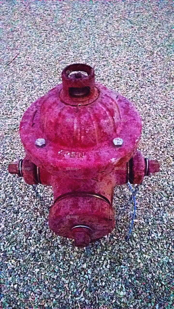 A Daytime Fire Hydrant