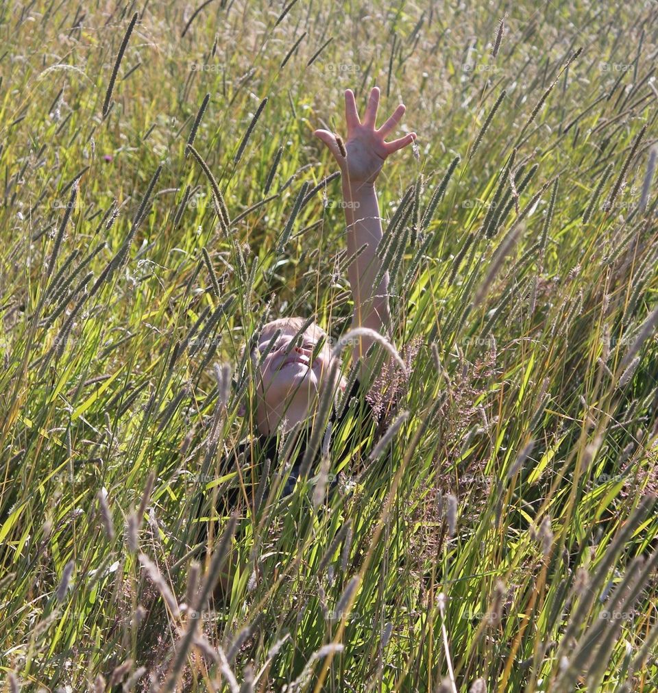 Reaching for the sun