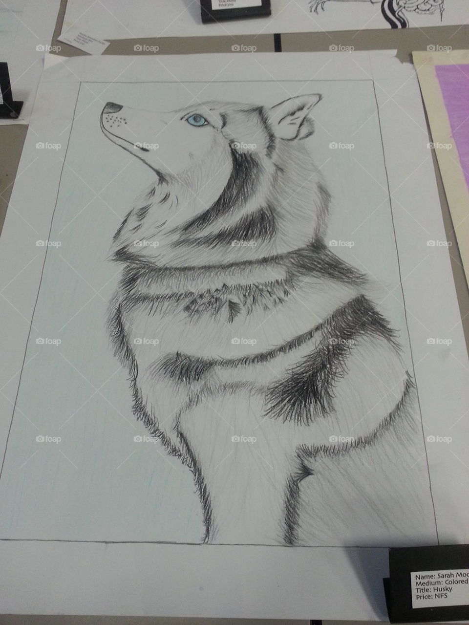 husky drawing