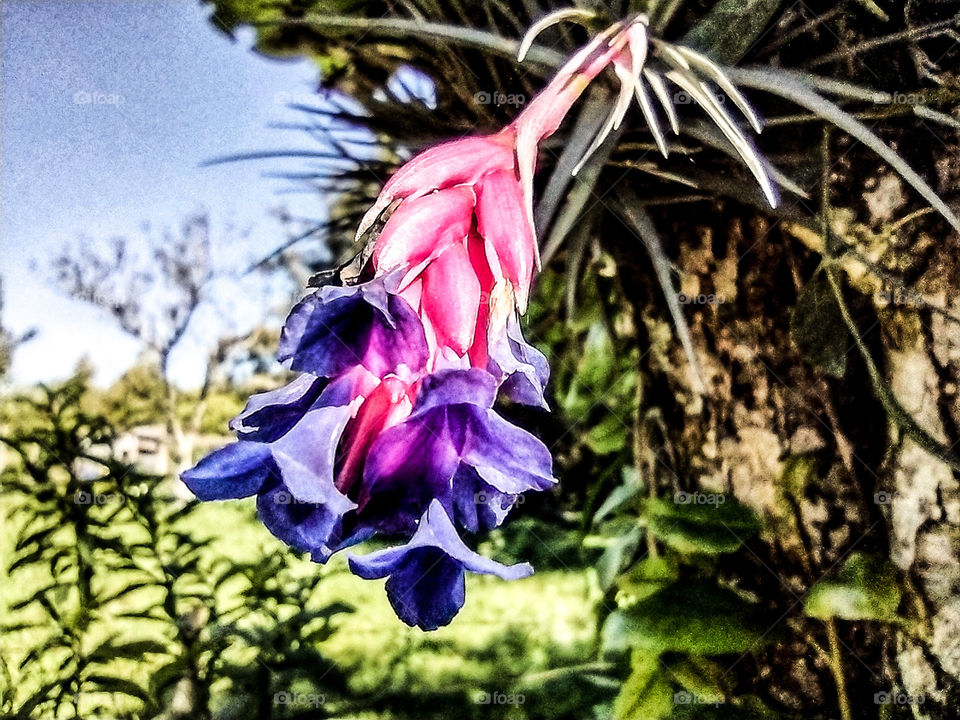 that on the tree trunk