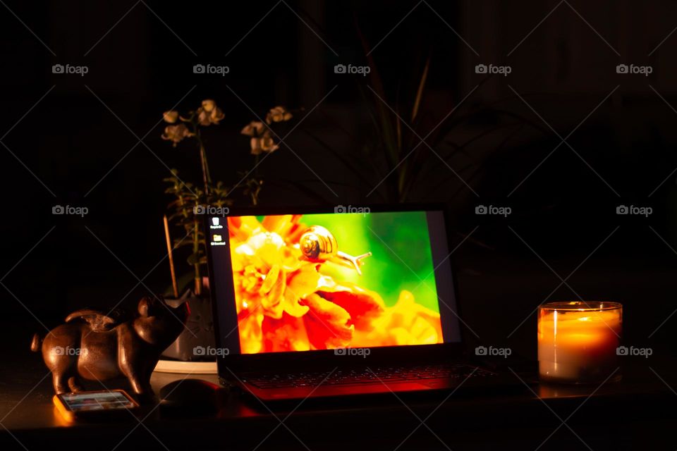 Some of my most relaxing & productive time is at night whether it’s time spent working on my photography, corresponding with family and friends or playing games. This night owl likes the quiet peace of a desk space wherever the mood takes me.