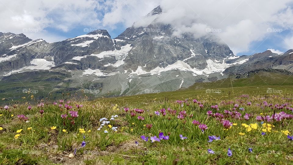 Collecting memories hiking in the alps by the Matterhorn 
