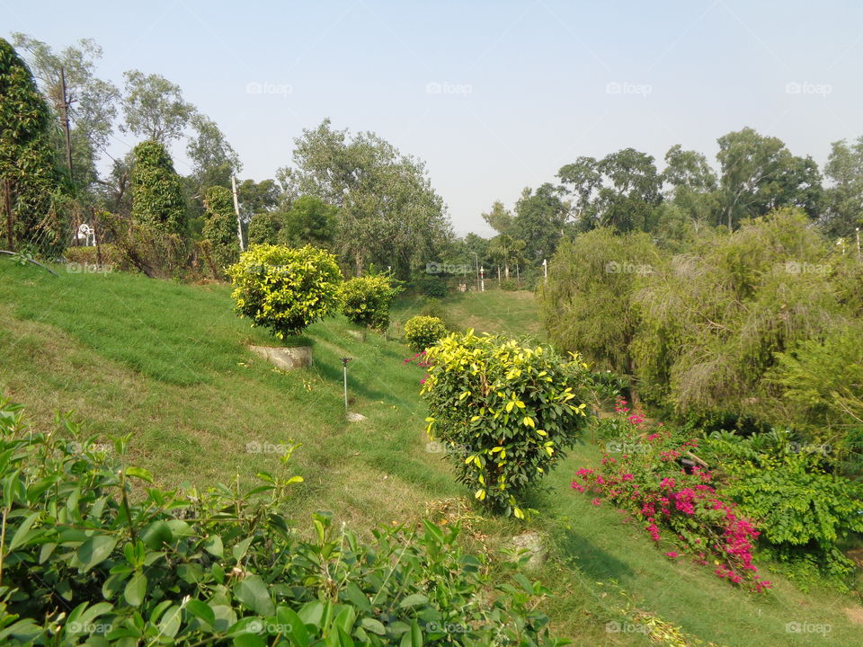 भारत के परिदृश्य