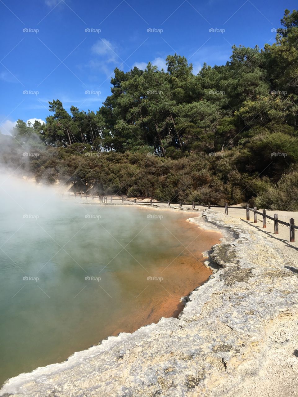 Rotorua hot spring 