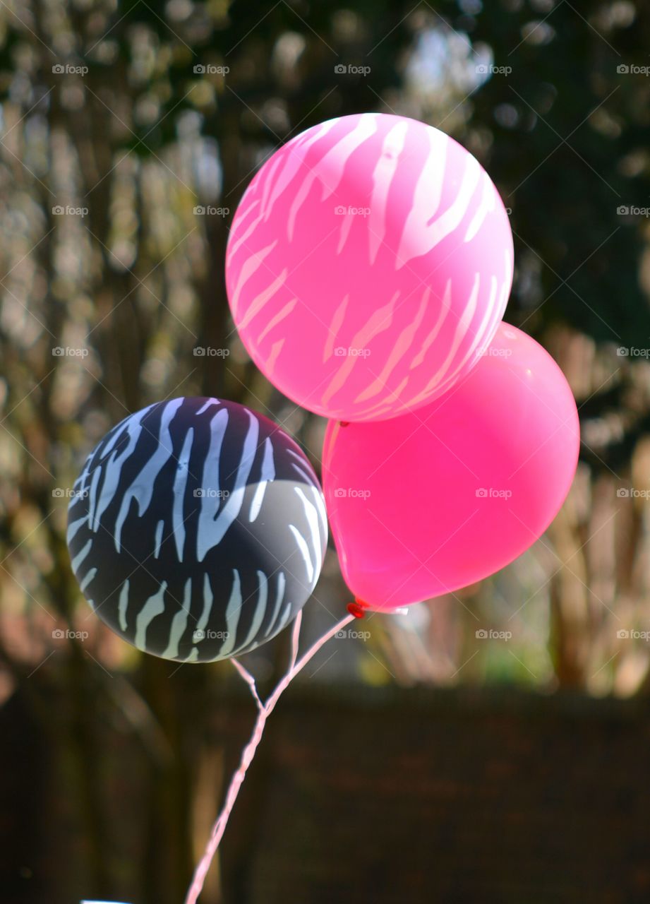 Pink and Black Zebra Balloons . Birthday party for a nine-year-old girl
