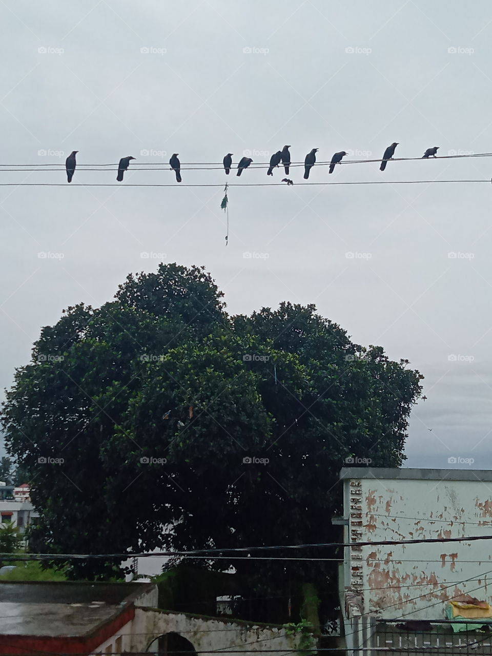 Enjoying weather together