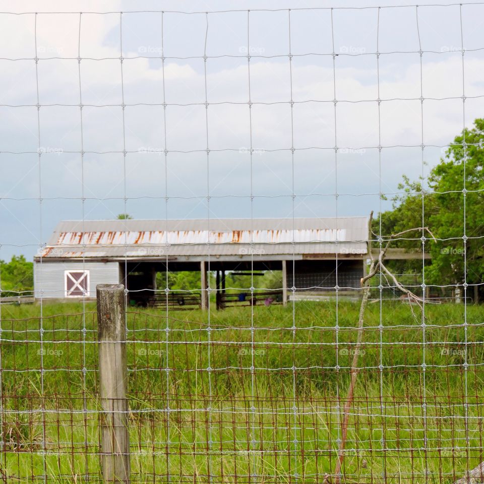 Texas barn
