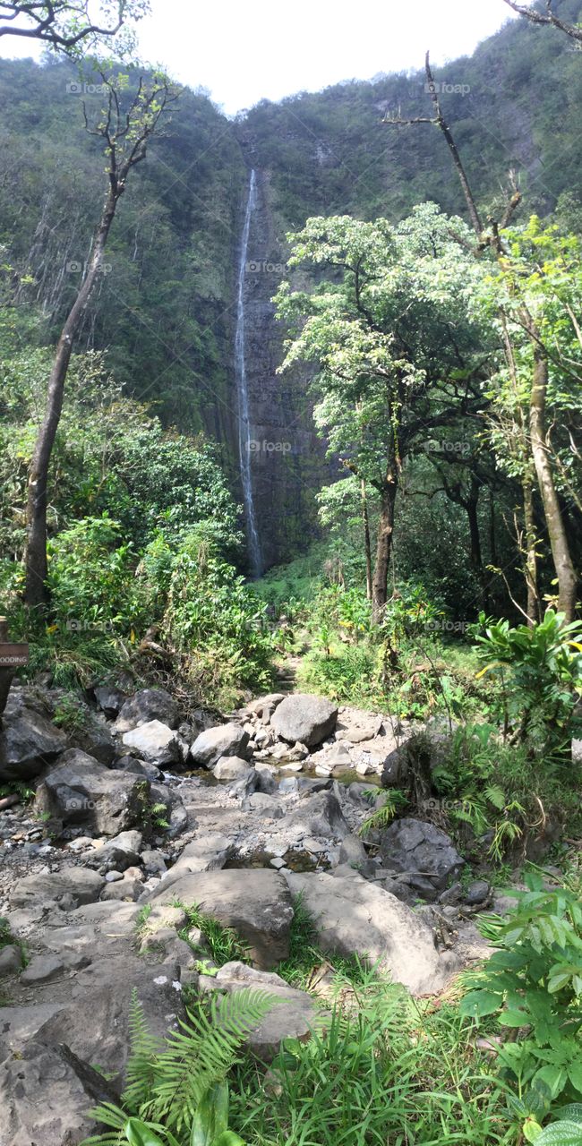 Waterfall on Maui