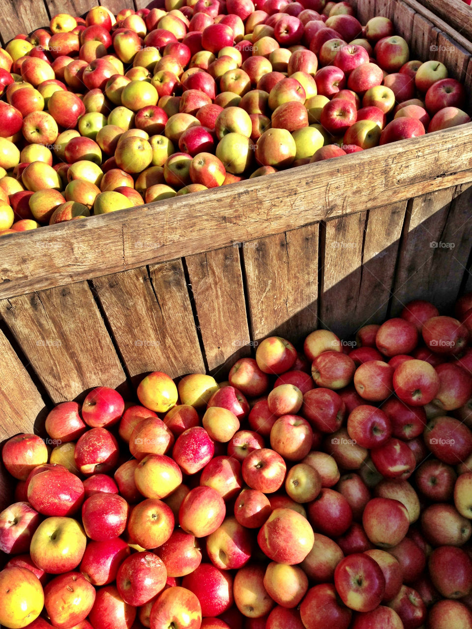 crate apples apple fruit by bsa