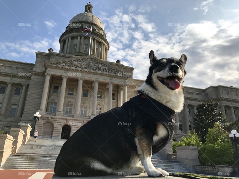 Summer trip to the capitol
