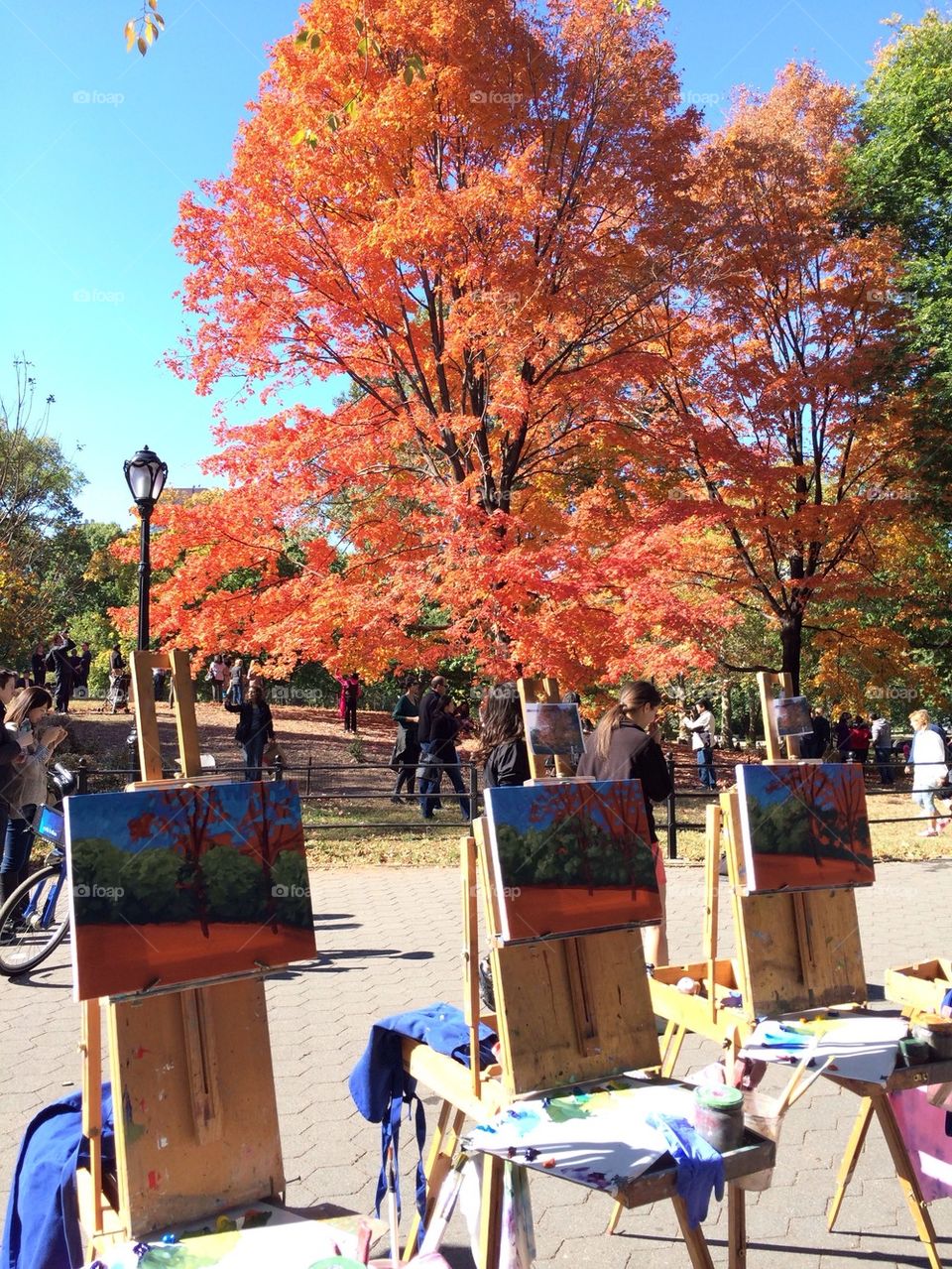 Paintings in the park.