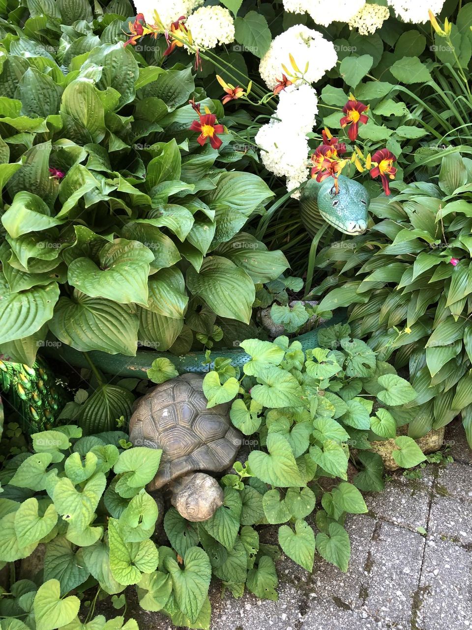 Plant with hidden creatures 