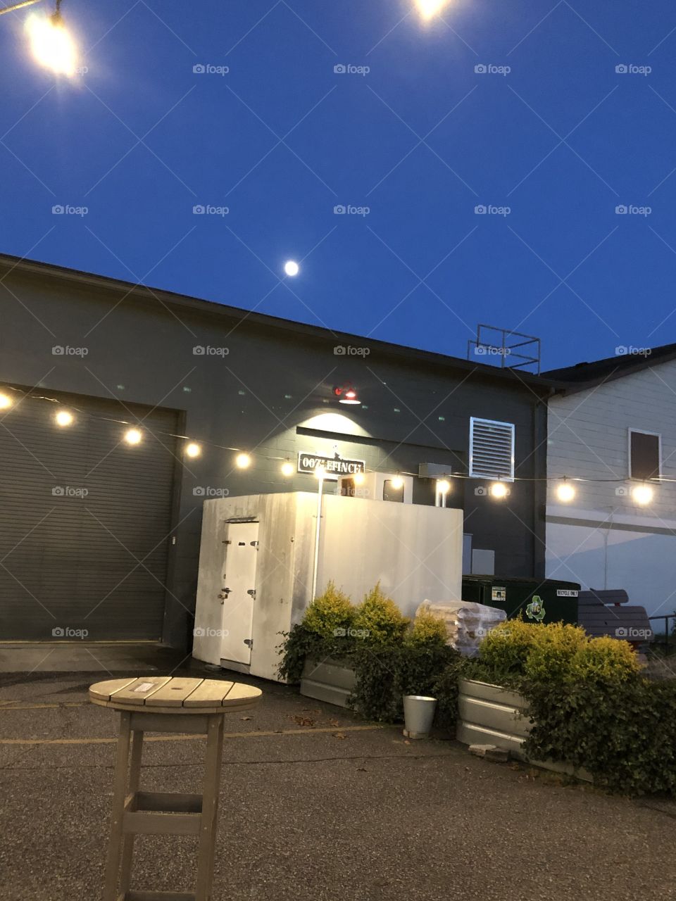 Night At the Brewery