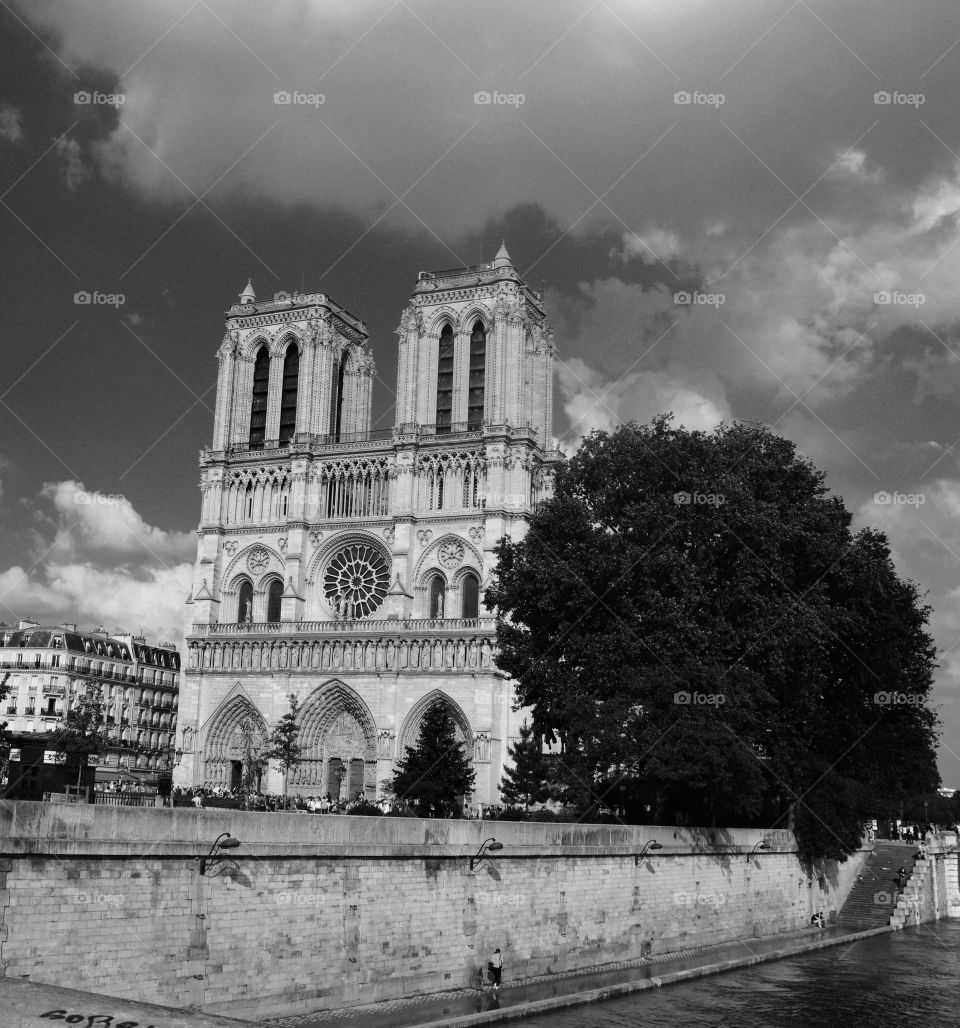 Notre dame black and white