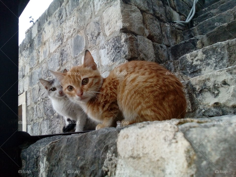 Guardians of the fortress of Klis.