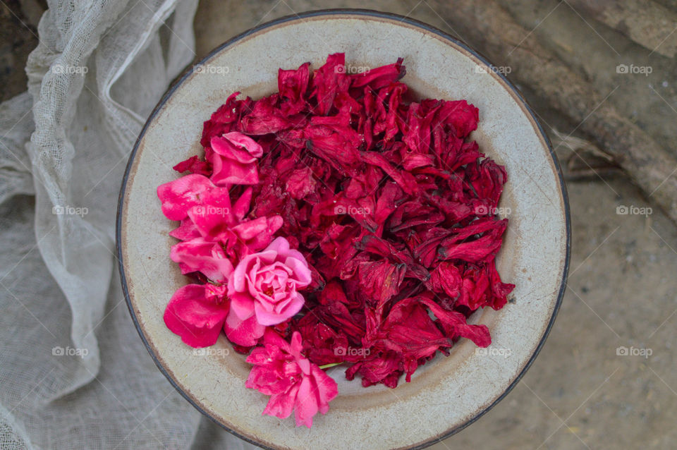 Flowers in a plate, pretty pink flower, rose and rhododendron petals , dry in sun, sundried petals , edible flora 