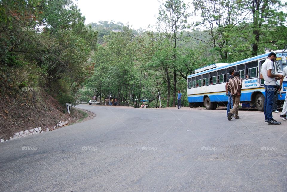 Road, Vehicle, Transportation System, Landscape, Car