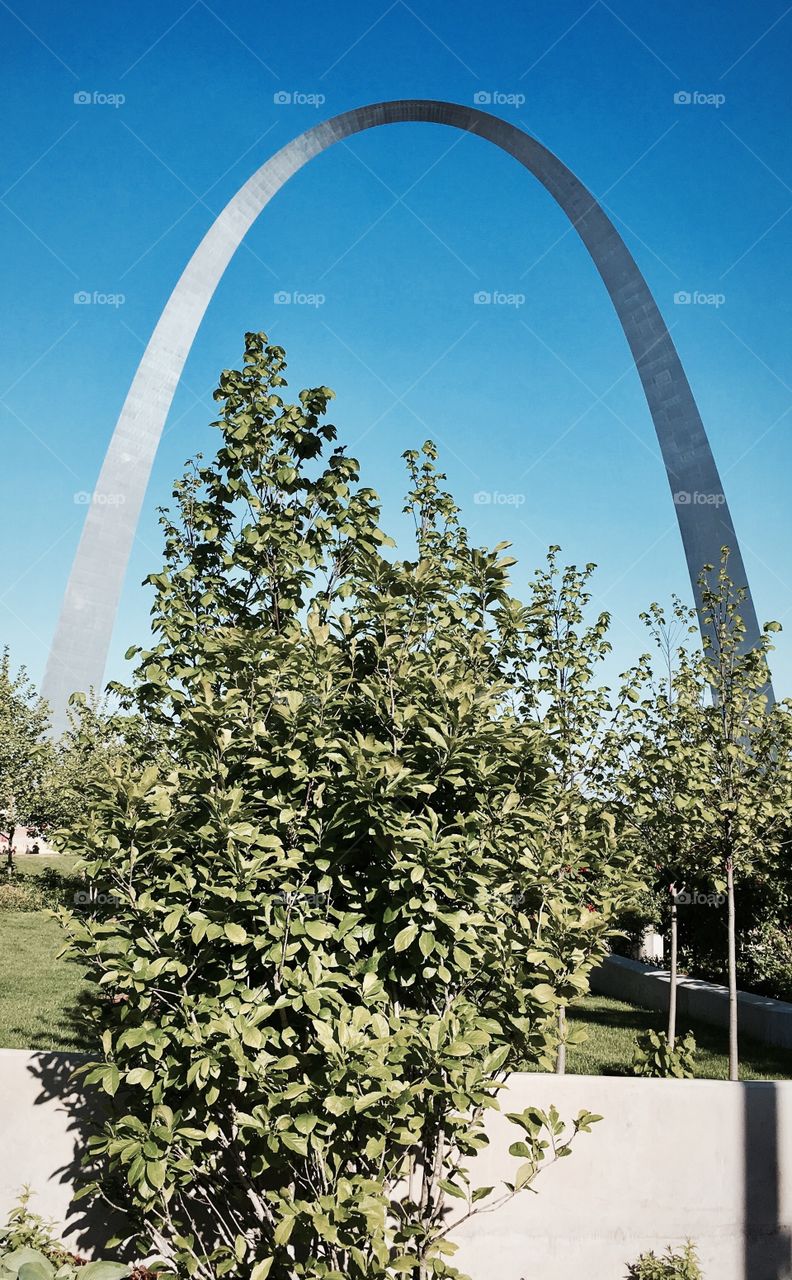 St. Louis, Missouri 