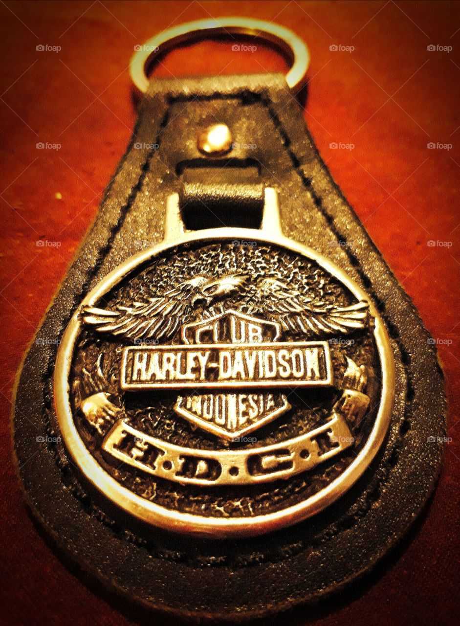Keychain Harley Davidson