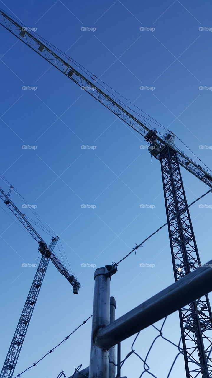 cranes in the city