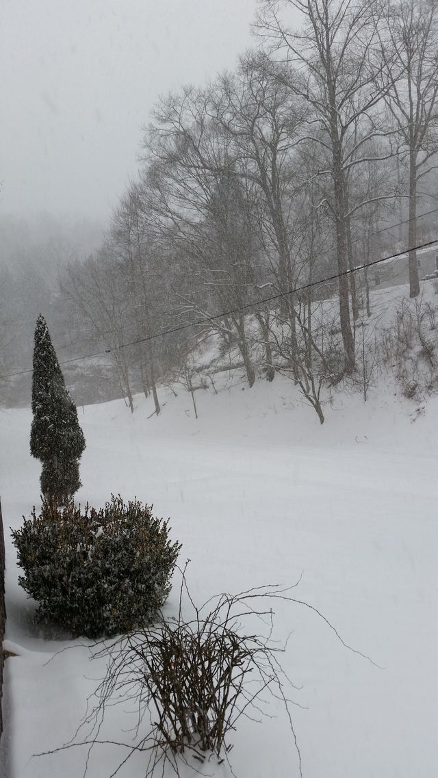 winter