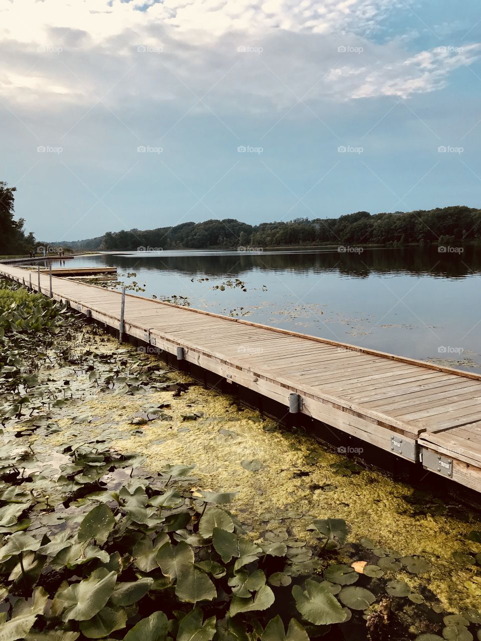 Dock on a small lake 