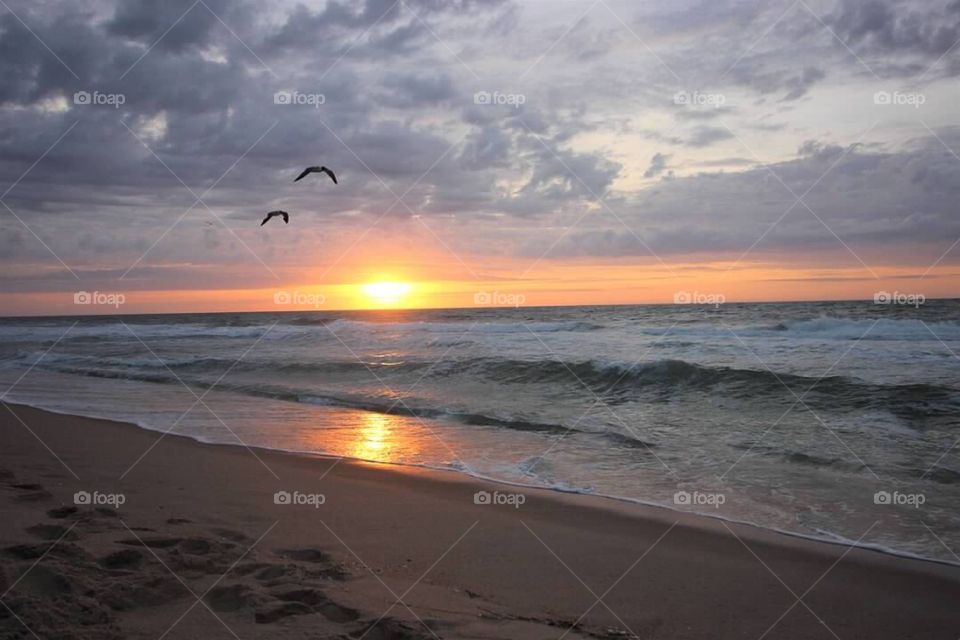 Two seagulls in flight as the sun is rising over a beautiful ocean horizon. 