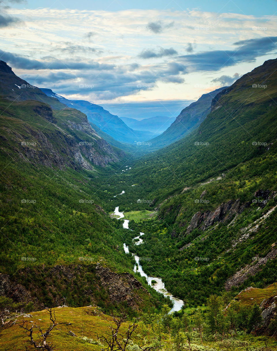 Scenic view of nature