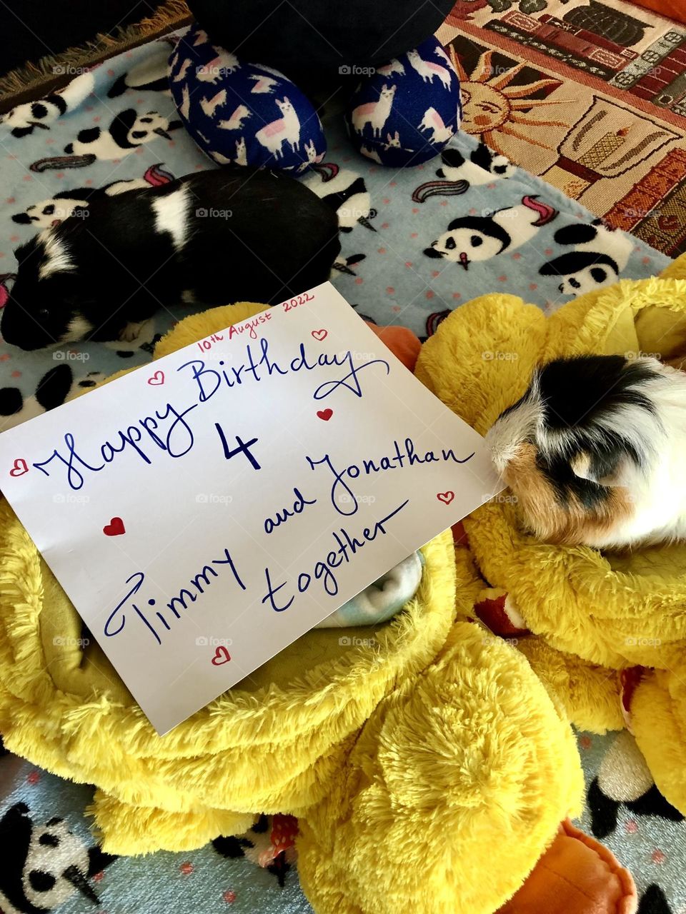 Happy 4 th Birthday to Timmy and Jonathan 