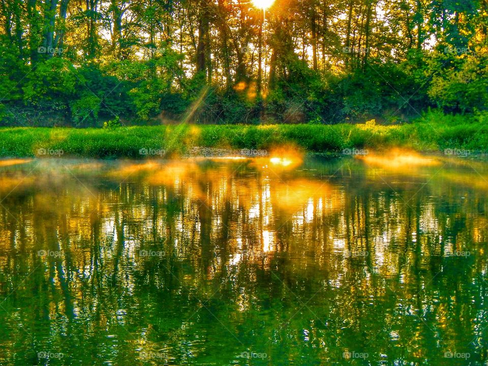 Sunset on the water in the woods. 