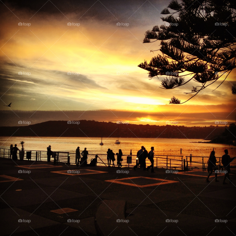 amazing sunset manly harbour people going about their business manly harbour sydney by rhmj180